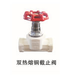 PPR Material Stop Valve for Water