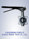 Hand Lever Stainless Steel Butterfly Valve (D71X-10/16)