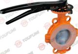 PFA Lined Manual Wafer Type Butterfly Valve ANSI for Chemical