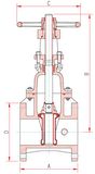 OS&Y Type Gate Valves (200PSI)