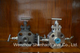 Forged Stainless Steel Monoflange Valve