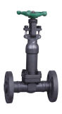 High Quality Forged Steel Cryogenic Flange Gate Valve (Z)