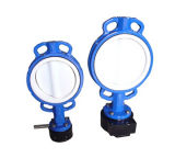 Wafer Butterfly Valve Disc Coated PTFE