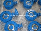 Manually Operated Double Flange Butterfly Valve