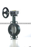 Wafer Type Butterfly Valve (RBV010)