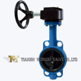 Worm Gear Rubber Coating Wafer Butterfly Valve with Double Half Shaft D371j