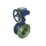 Cast Iron Worm Gear Flanged Butterfly Valve