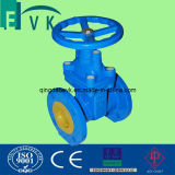 Cast Iron Fixed Stem Resilient Seated Gate Valve