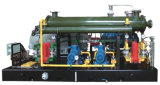 Profession Manufacture of Flare Gas Screw Compressor Unit: Lgm40/0.8