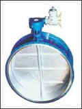 Electric Common Butterfly Valve