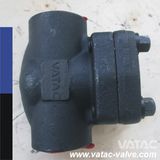 BS/DIN/JIS/API Cl300&Cl600 Bolted Bonnet/Welded Bonnet Swing Check Valve