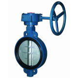 Ggg50 Wafer Type Butterfly Valve with CE&ISO Certificates (D371X-10/16)
