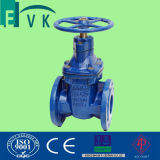 Bs5163 Cast Iron Resilient Seated Non Rising Stem Gate Valve-Pn25