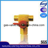 QF-T1D CNG Cylinder Valve for Gas Cylinder with Safety Device