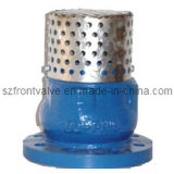 Cast Iron/Ductile Iron Flanged Foot Valves