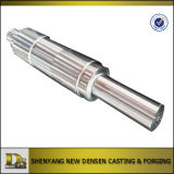 Shenyang New Densen Casting and Forging Co., Ltd.