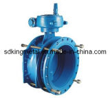 Pipe Net Expansion Butterfly Valves