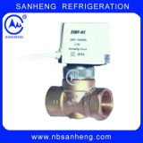 Drf Electrical Thermal Valve with Good Quality
