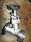 Y Type Forged Steel Globe Valve