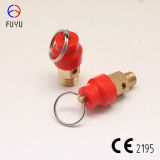 Safety Relief Valve for Air Compressor