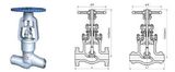 Pressure Seal Globe Valve (PJ41Y)