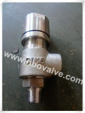 Union Joint Threaded Pressure Safety Relief Valve (A21H-3/4