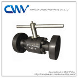 Flanged End Floating Forged Steel Ball Valve