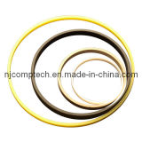 Butterfly/Globe Valve Seals for Industrial Valve From China