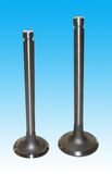 Truck Engine Spare Parts Daewoo Engine Valves