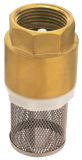 Non Return Valve With Ss Filter (J5001)