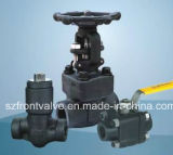 Forged Steel Threaded and Sw Valves