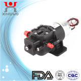 DC Electric Small Diaphragm Pump 0.8L/Min for Water Dispenser (DP005B1)