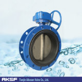 Flange Concentric Butterfly Valve (D341X)