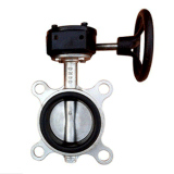 Stainless Steel/Carbon Steel Flanged Butterfly Valve with Trunnion