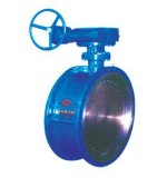 ANSI Cast Steel Flanged Butterfly Valve with API 6D