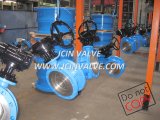 Metal Seated Butterfly Valve with Manual Gear Box (D343H)