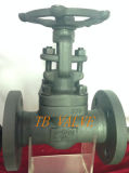 Forged Steel Flanged Gate Valves (Z41H)
