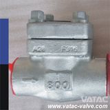 Forged Ss F304/F316/F304L/F316L Threaded NPT/Bw/Sw Swing Check Valve