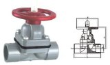 CPVC Diaphragm Valve-CPVC Pipe and Fittings