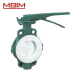 API609 Lined Butterfly Valve (DN40-DN1200)