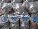 Swing Check Valve with Low Pressure in Packing