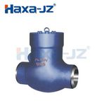 Pressure Seal Check Valve