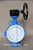 2 Pieces Body PTFE Lined Wafer Type Butterfly Valve