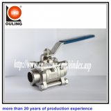 Stainless Steel Valve with Welded End