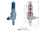 Spring Loaded Low Lif T Type Safety Valve (A61Y)