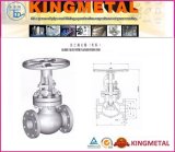 Globe Valve with Flanged Ends