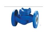 DIN Cast Iron Lift Type Check Valve with Pn16