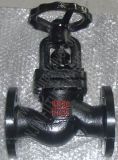 GOST PN25 DN50 Ductile Iron Flanged Globe Valve (J41T-25)