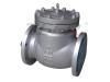 Swing Check Valve