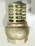 CE Certified Quality Brass Bottom Valve (AV5006)
